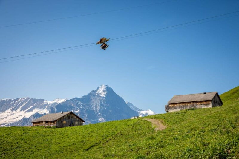 From Zurich: Grindelwald First Cable Car & Interlaken - Final Thoughts
