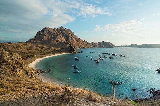 Full-Day Adventure Tour to komodo Island with join Speed Boat tur - The Sum Up