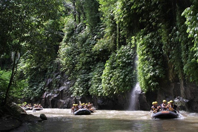 Full-Day Ayung River White Water Rafting and Ubud Tour - The Sum Up