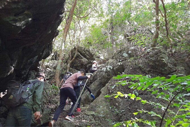Full-Day Cuc Phuong National Park Hiking Tour - Practical Tips & Considerations