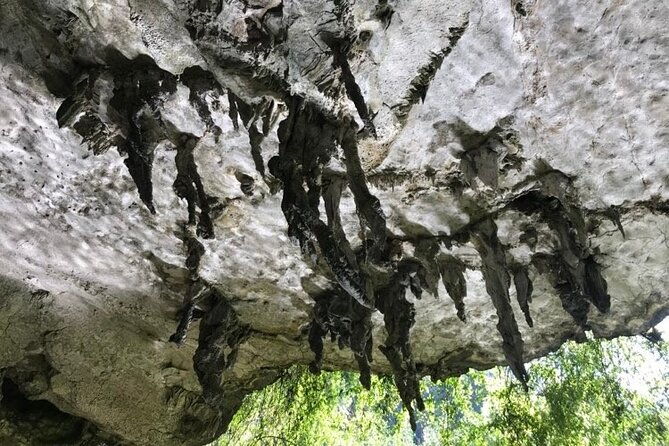 Full Day Guided Tour in Bor Thor Caves and Mangroves - The Sum Up: Is This Tour Right for You?