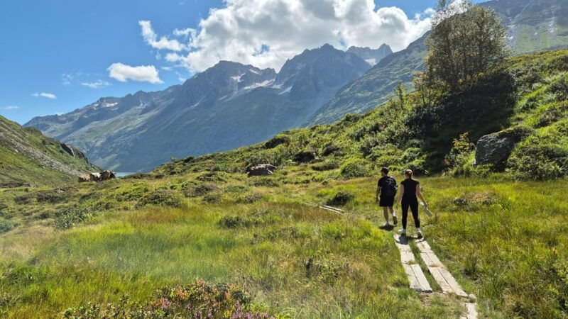 Full-Day Hiking Swiss Alps and Lake with Pick-up - Lucerne - Lakeside Relaxation and Swimming