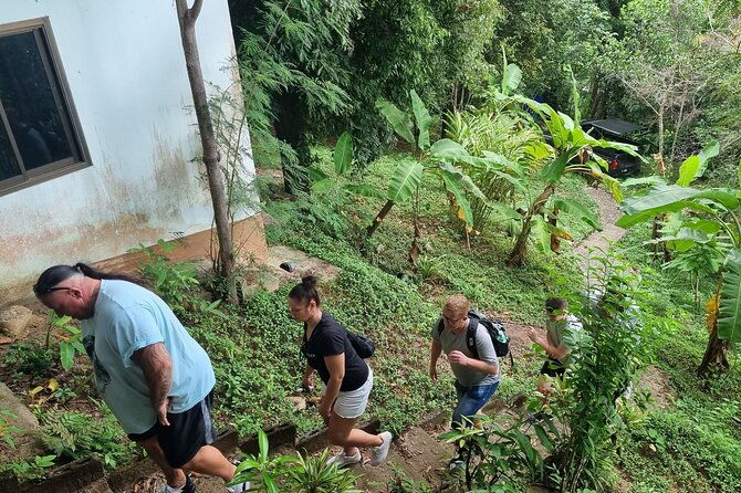 Full Day Jungle Safari Tour in Koh Samui - The Sum Up: Is the Jungle Safari Tour Worth It?