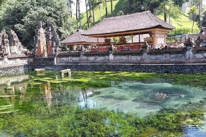 Full Day Kintamani Volcano View and Ubud Village Tour - Final Thoughts