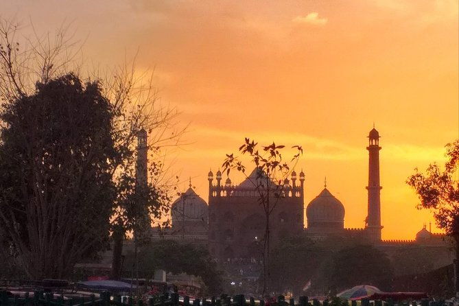 Full Day Old & New Delhi City Tour - Khari Baoli Spice Market