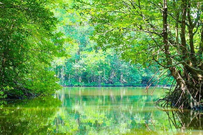 Full-Day Private Bike Tour of the Cu Chi Tunnels with Lunch - Who Will Love This Tour?