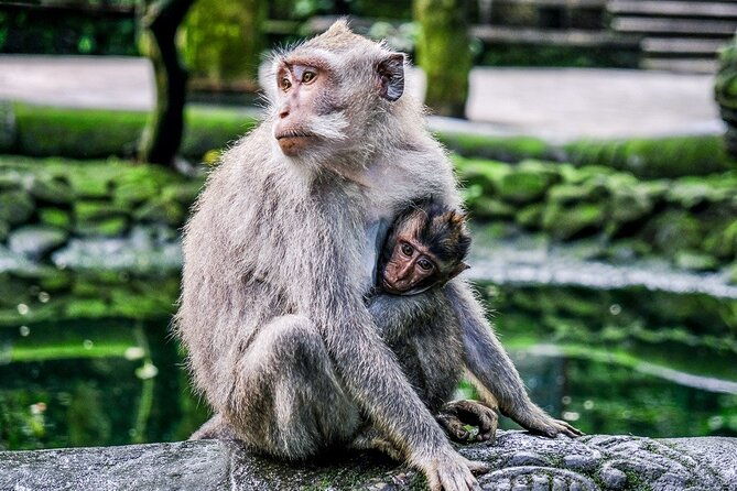 Full Day Private Guided Tour in Bali - Who Would Love This Tour?