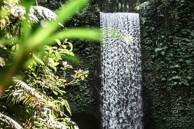 Full Day Private Tour All Inclusive Hidden Gems Bali Waterfall - Food and Additional Comforts