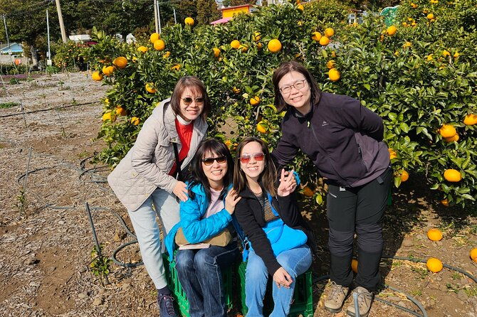 Full-Day Private Tour in Jeju Island - Who Should Book This Tour?