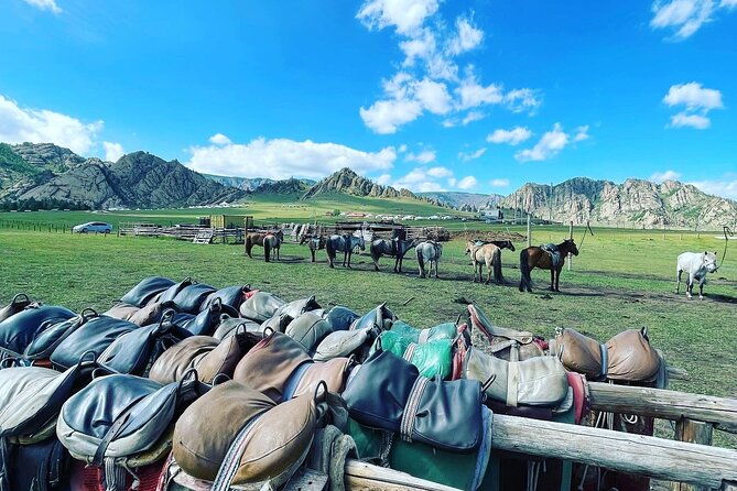 Full Day Private Tour in Terelj National Park with Horse Riding - What Travelers Value Most
