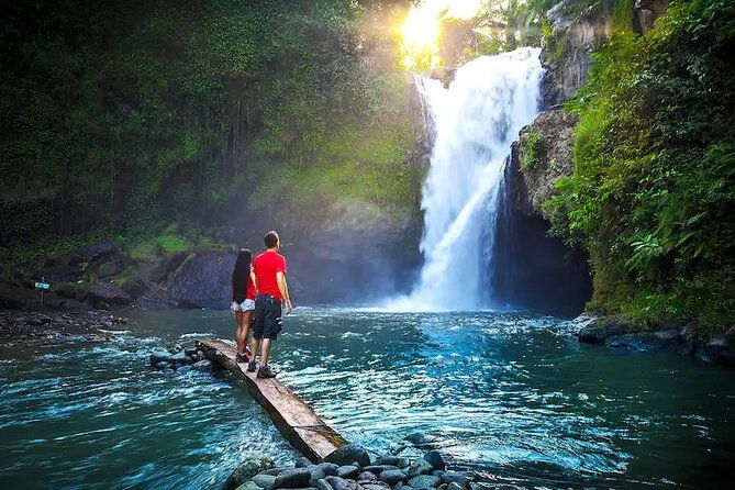 Full Day Private Tour in Ubud Indonesia - The Sum Up