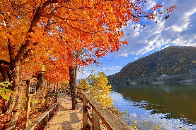Full Day Private Tour Nami Island, Garden & Petite France - The Sum Up