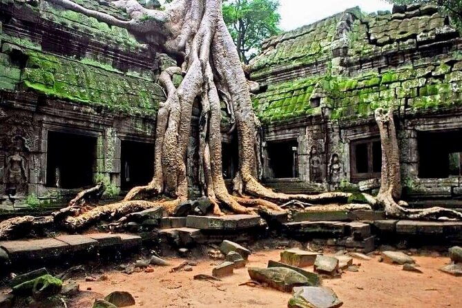 Full-day Private VIP Tour to Angkor Complex - Who Will Benefit Most?