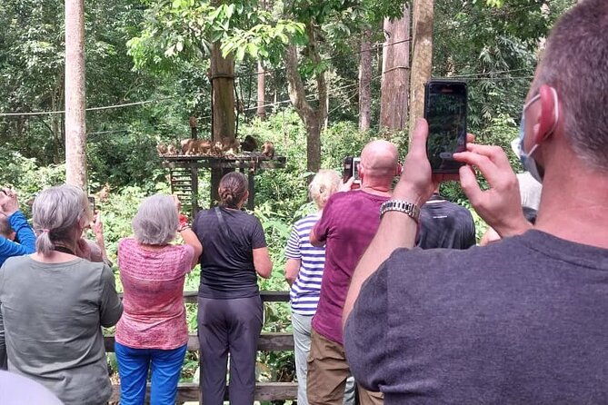 Full-Day Sepilok Orangutan and Sandakan City Trail from Kota Kinabalu - FAQ