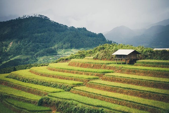 Full Day Trekking Mu Cang Chai - Frequently Asked Questions