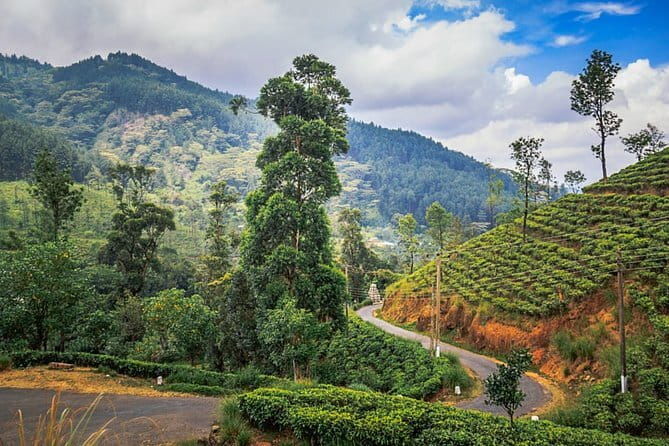 Full Day Trip to Sigiriya and Dambulla from Kandy - Practical Details