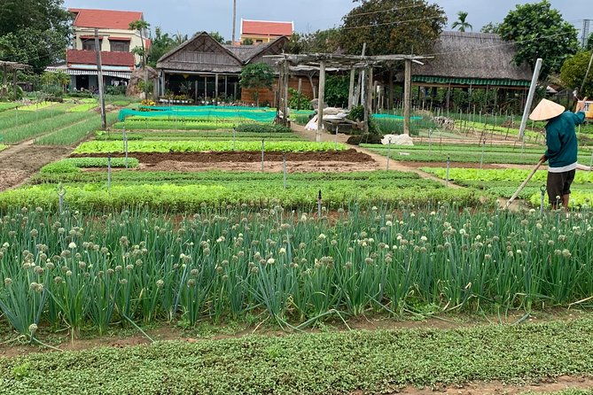 Full Experience Tour: Cooking Class & Basket Boat at Eco-Village - What Reviewers Say