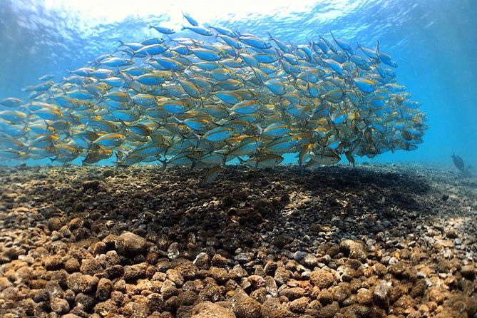 Fun Diving Tulamben Bali - For Certified Divers - The Sum Up