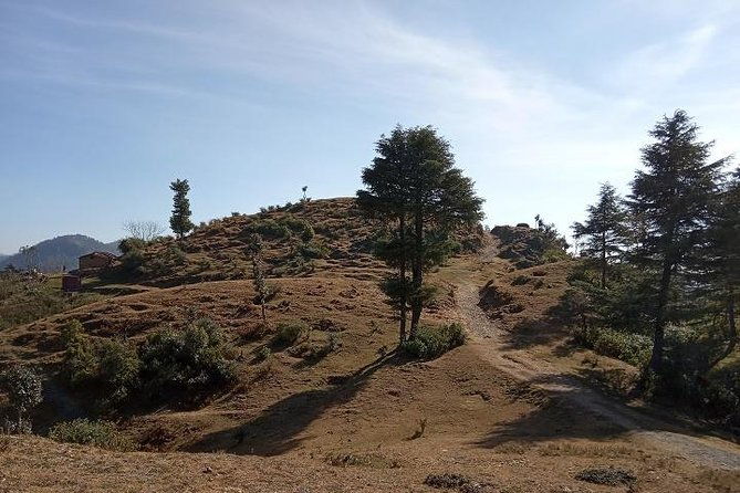 George Everest Nature Walk | Mussoorie - Final Thoughts