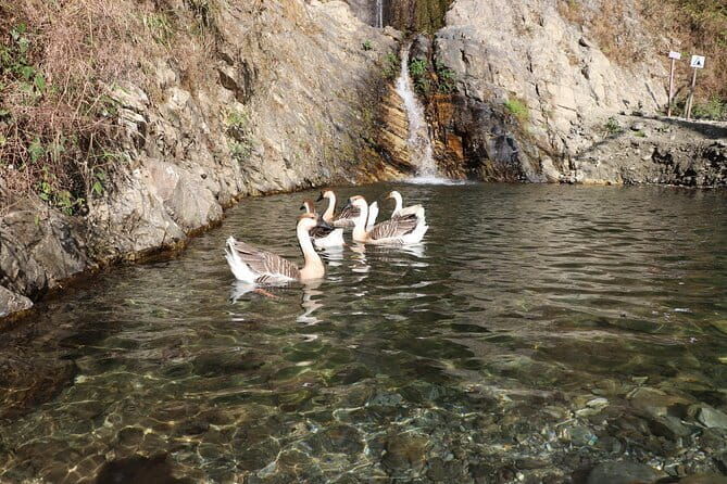 Ghorepani Poon Hill Trek - Final Verdict