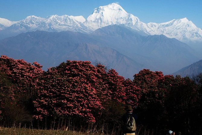 Ghorepani Poon Hill Trek - Who Is This Trek Best For?