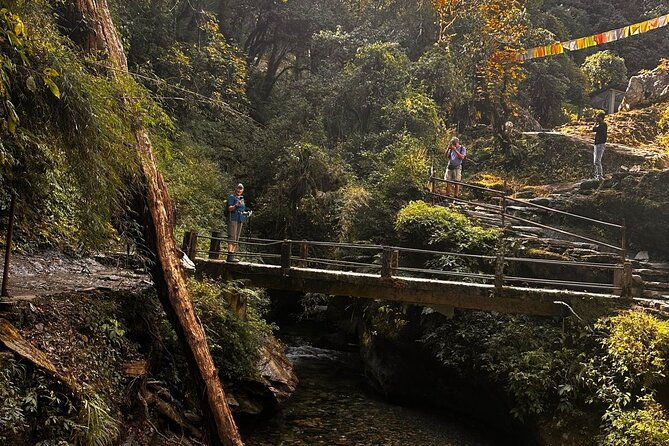 Ghorepani Poonhill Private Trek - 2 nights / 3 days - Accommodation and Food
