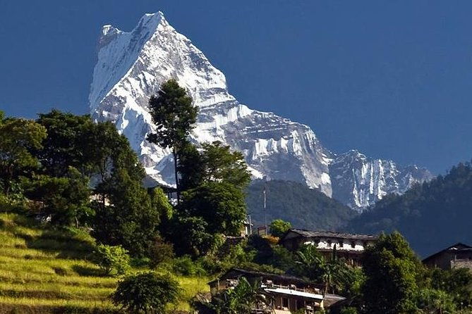 Ghorepani Poonhill Trek -8 Days - FAQs