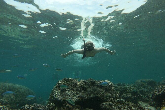 Gili island Snorkeling Half Day Trip departure from Gili Trawangan - Practical Tips for a Smooth Trip
