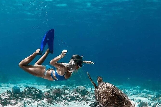 Gili Island Snorkeling Trip - Gili Trawangan, Gili Meno, & Gili Air, From Lombok - Who Should Book This Tour?