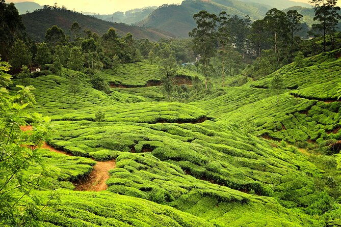 God's Own Country - KERALA (8 Days private trip) - FAQ