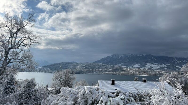 Great walk through Lucerne with places of interest - Who Would Love This Tour?