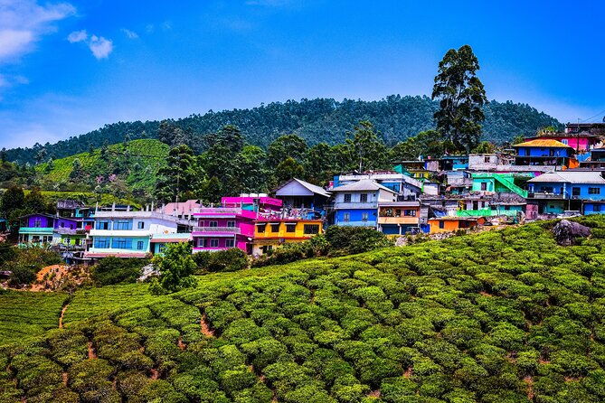 Green Magic Day Tour to Munnar - Final Thoughts