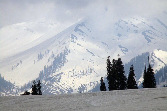 Gulmarg Adventure: A Thrilling Day Trip from Srinagar - Final Thoughts