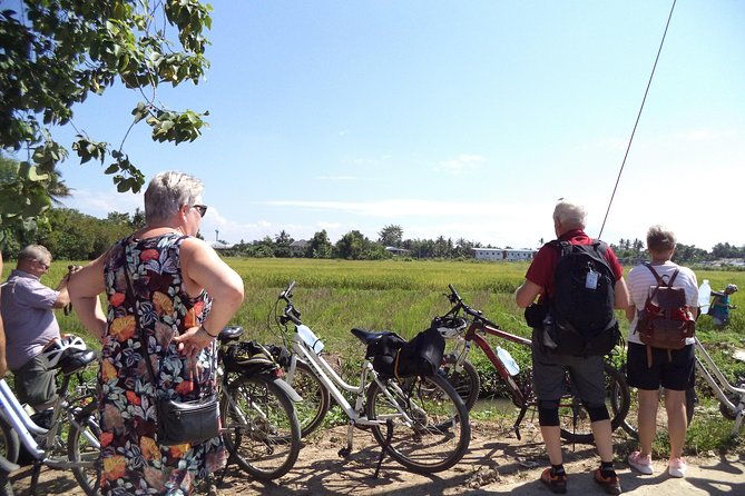 Half-Day Colors of Chiang Mai Biking Tour - Who Should Book This Tour?