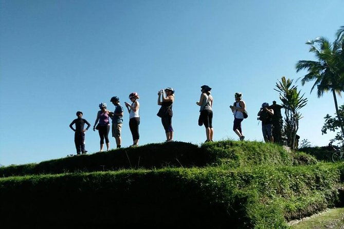 Half-Day Electric Cycling Tour of Ubud - Who Should Book This Tour?
