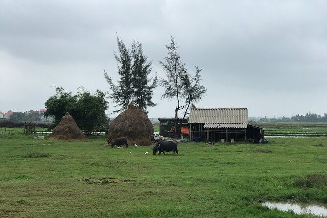 Half-Day Hoi An Countryside and Villages Tour by Bike - FAQs