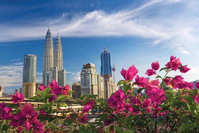 Half Day KUALA LUMPUR CITY NOTED LANDMARKS TOUR - Who Should Book This Tour?