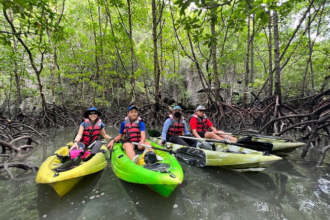 Half-Day Mangrove Kayaking in Langkawi - Kayaking into Langkawi’s Mangrove Passages