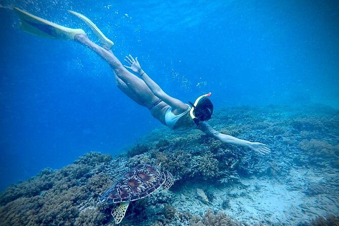Half-Day Private Guided Snorkeling Turtles Underwater Statues - Who Would Enjoy This Tour?