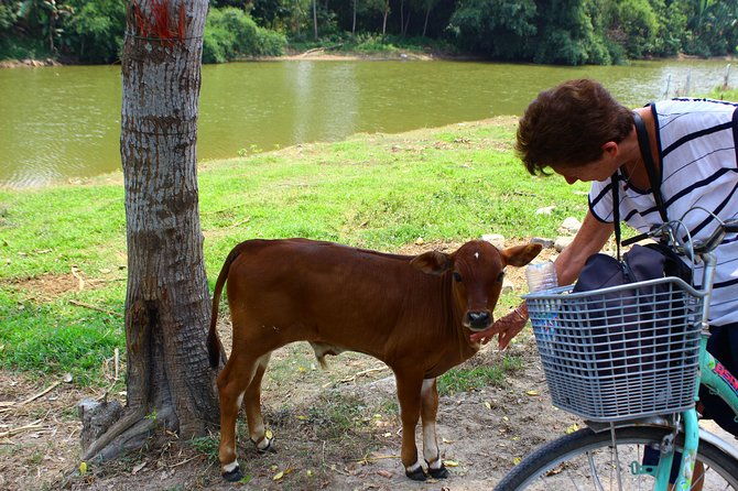 Half Day Ride Bike To The Farm and Cooking Activity with Foot Massage - Group Size and Logistics