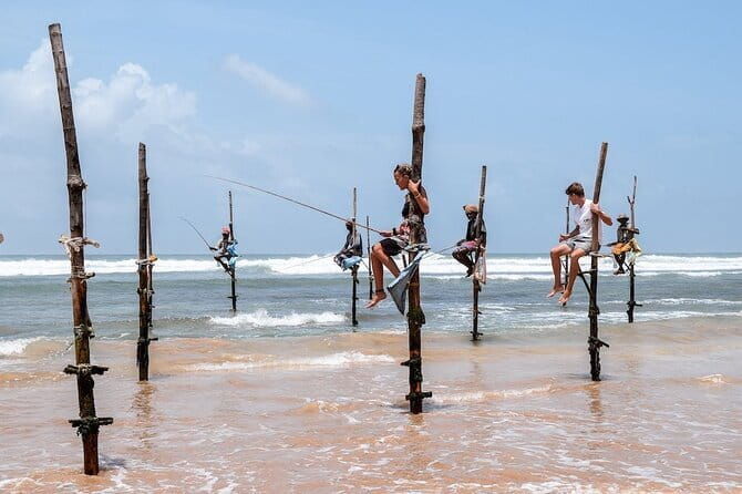 Half Day trip in Yala National Park - FAQ