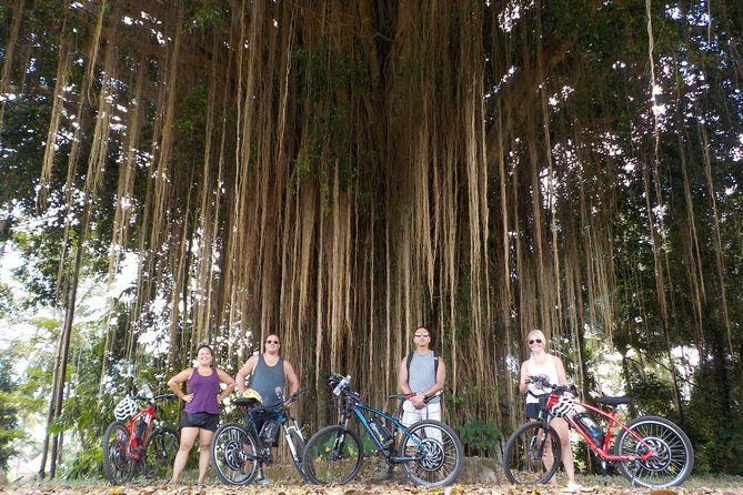 Half-Day Ubud Electric Cycling Tour to Tirta Empul Water Temple - Authenticity and Culture