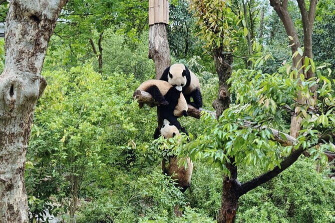 Half Private Day Chinese Bamboo Weaving Exprience - Value and Pricing: Is It Worth It?  