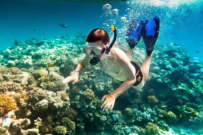 Halfday My Son Sanctuary Guided Tour with Boat Trip - What Makes This Tour Stand Out?