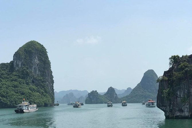 HaLong Bay 1Day 6hrs cruising - Alova Premium Cruise - Limousine - Who Should Consider This Tour?