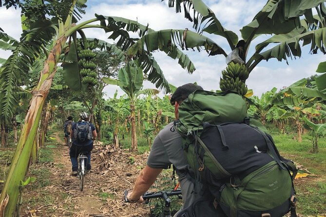 Hanoi Countryside in Banana Island - Top Tours & Activities - The Sum Up