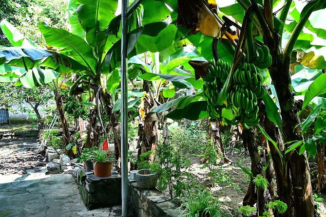 Hanoi Full Day A Private Tour With Mix of History and Activities - FAQ