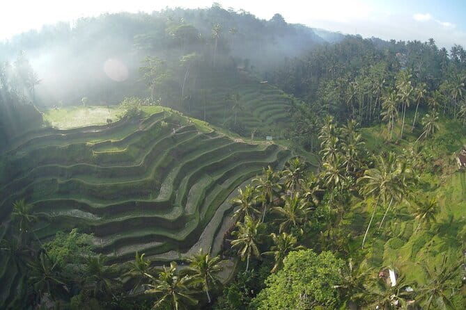 Hidden North Waterfall Bali All inclusive - Pricing and Value