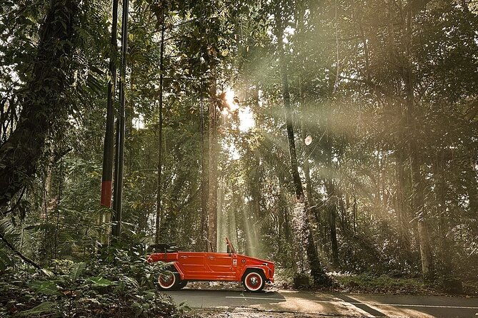 Highlight Ubud Tour in Classic Vintage Volkswagen - Transportation and Practicalities