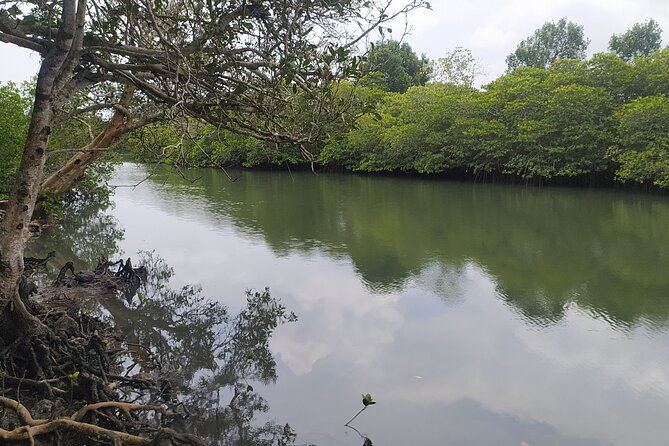 Hinterland Cycling Tour, Havelock - Booking and Cancellation